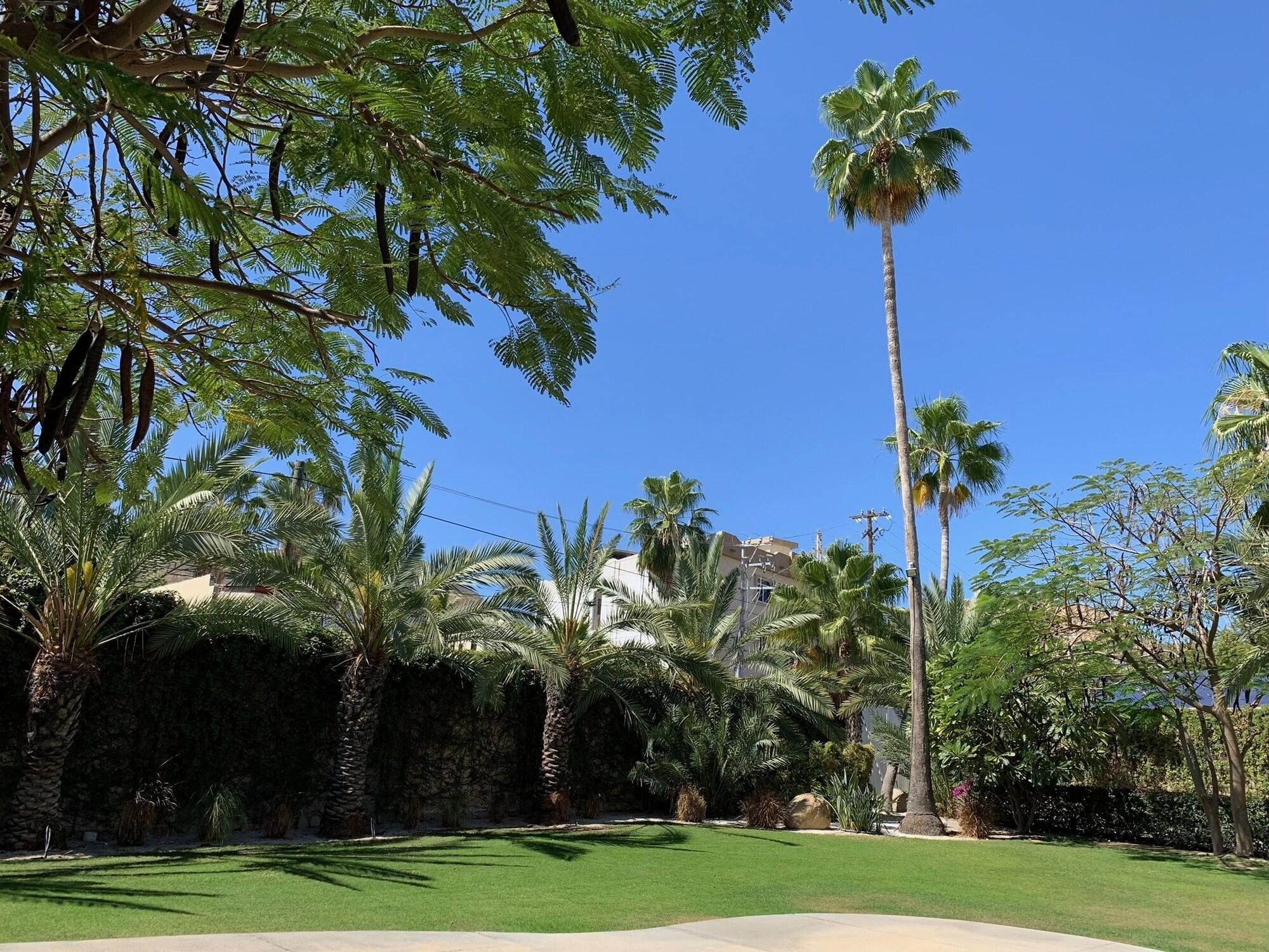 Los Milagros Hotel Cabo San Lucas Exterior photo